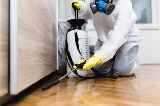 Best Local Pest Control Services  in Cloverleaf, TX