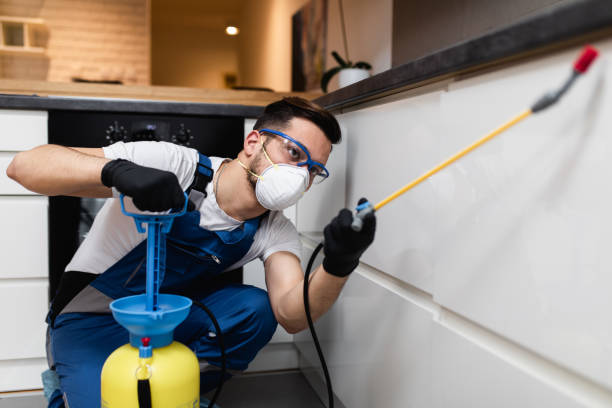 Best Best Pest Control Companies  in Cloverleaf, TX
