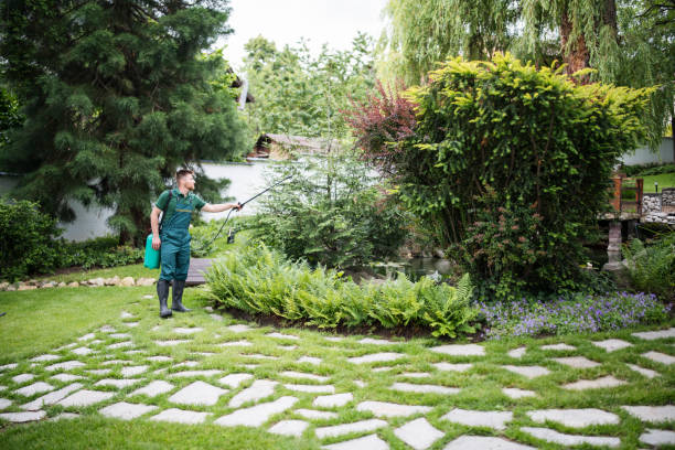 Professional Pest Control in Cloverleaf, TX