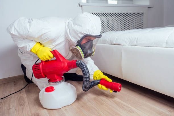 Best Pest Removal Services  in Cloverleaf, TX