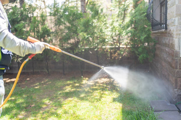 Best Rat Extermination Near Me  in Cloverleaf, TX