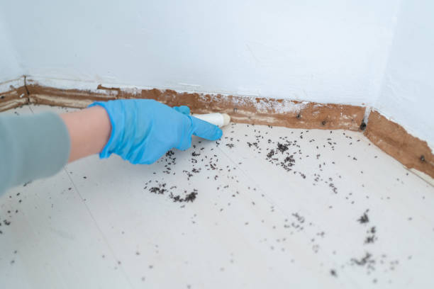 Pest Control for Restaurants in Cloverleaf, TX